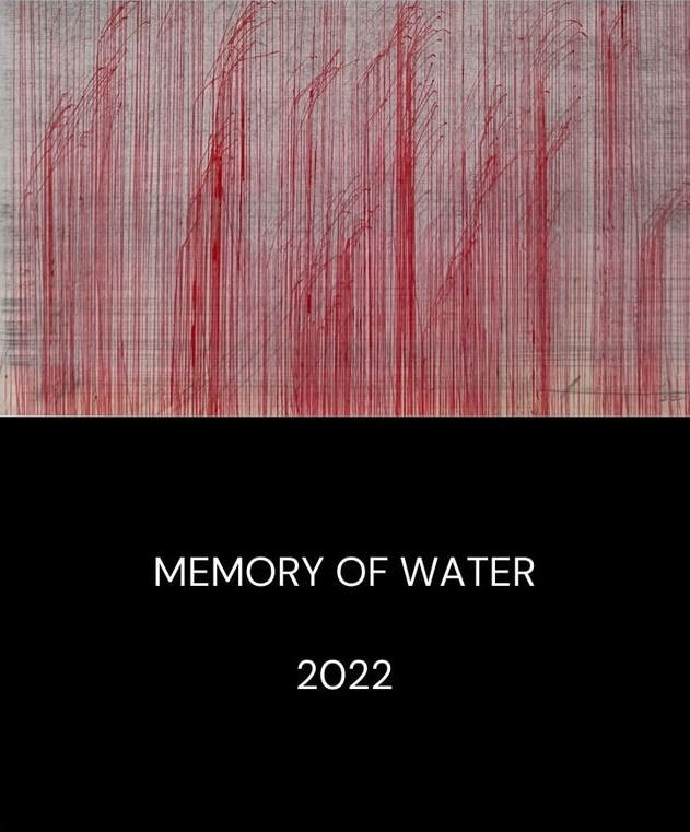 Memory of Water 2022 by Ayessha Quraishi